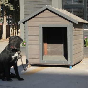 Deck Özel Tasarımlar